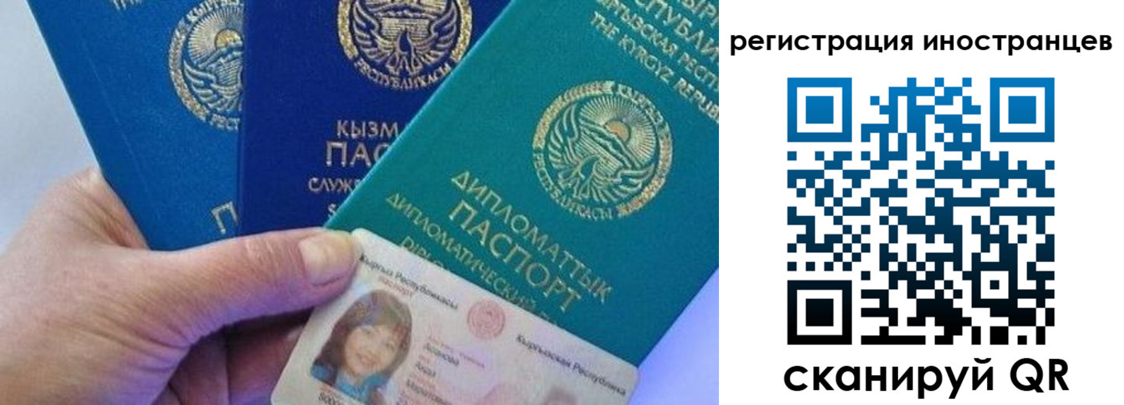 прописка в Полярных Зорях